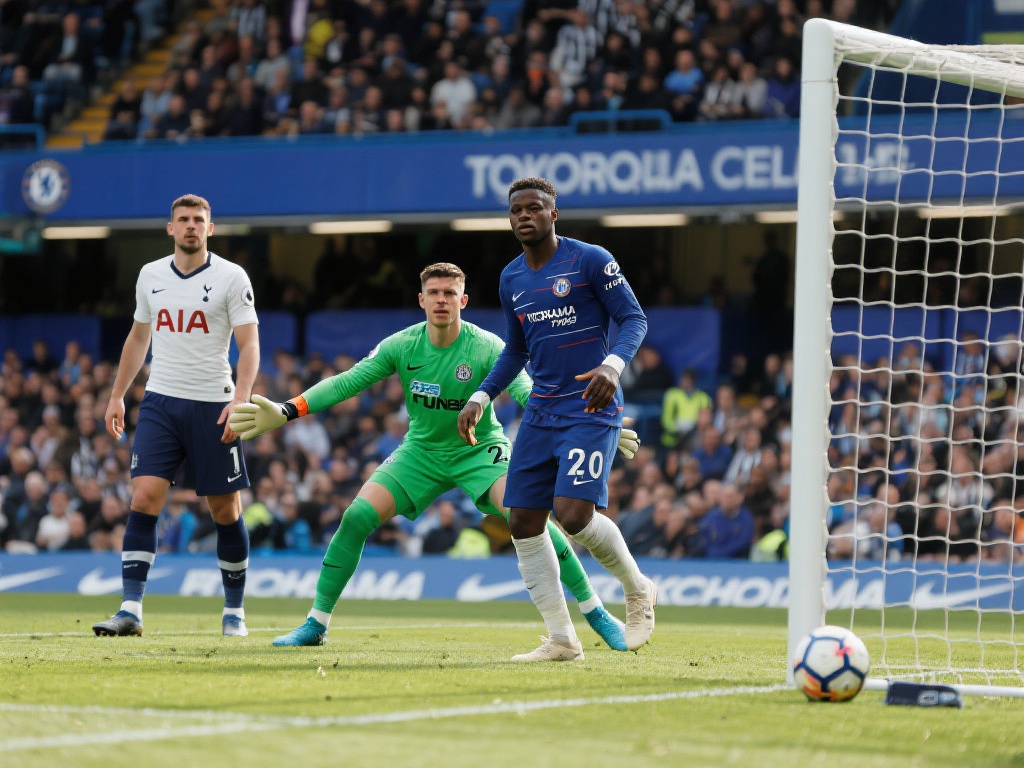 探讨中国体 探讨中国体